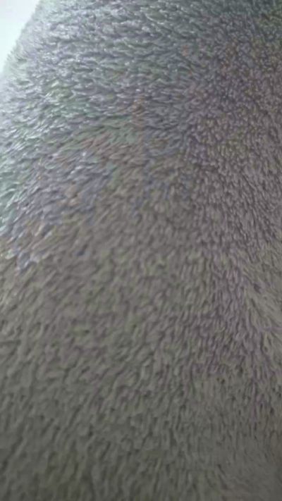 Kitty01lovexxx CAM4 Model