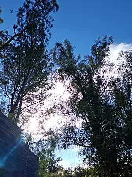 AmethystFoxx Stripchat Model